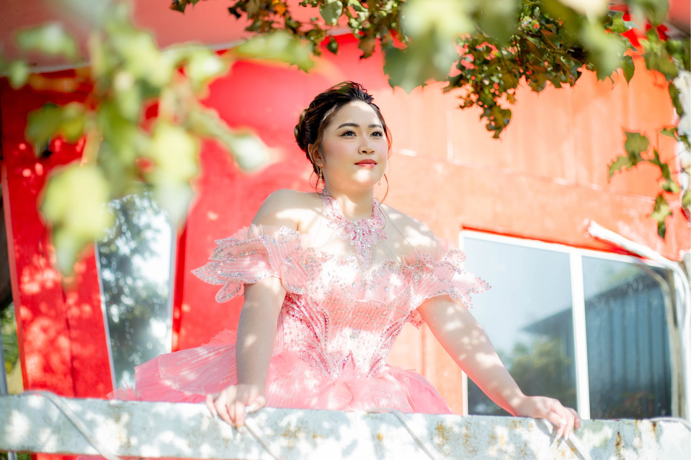 Pink Princess Ballgown